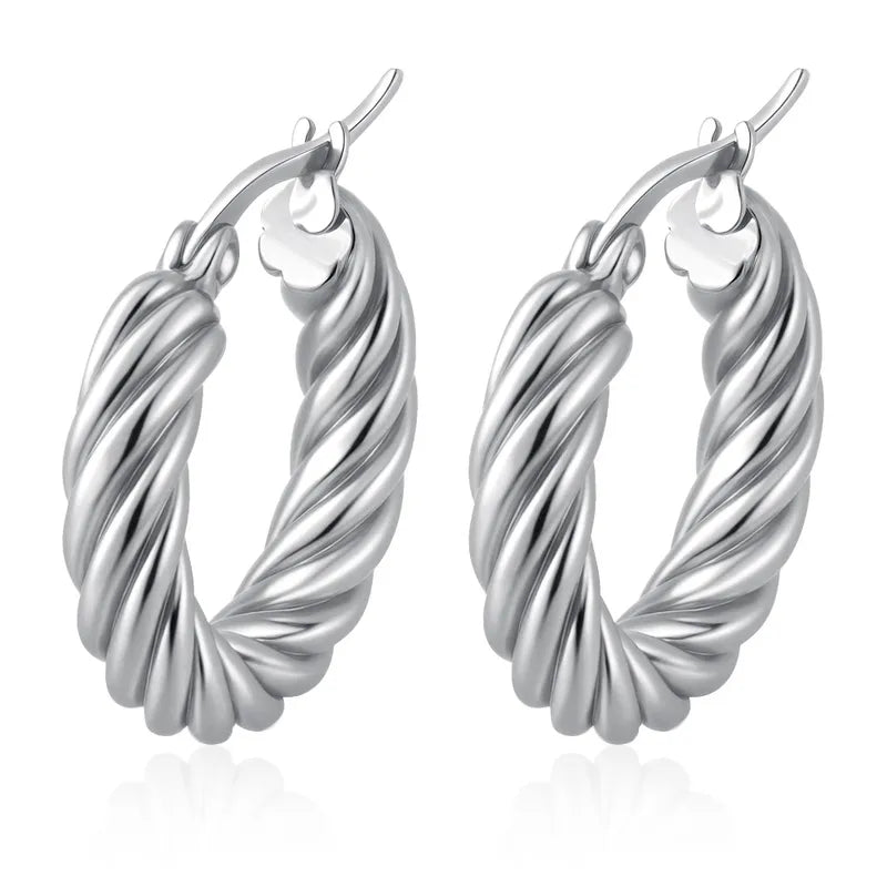 ARETES ARGOLLA GRANDE TWIST PLATEADO