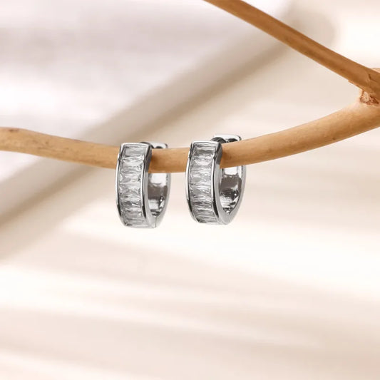 ARETES ARGOLLAS HILERA ZIRCONES PLATEADO